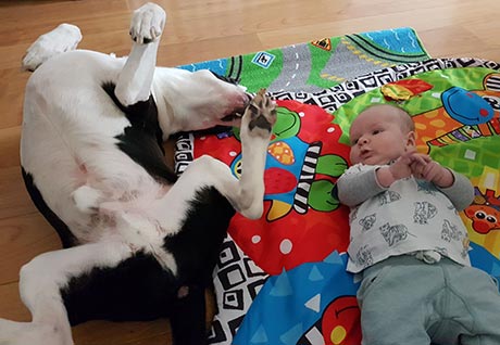 hond-en-baby-samen